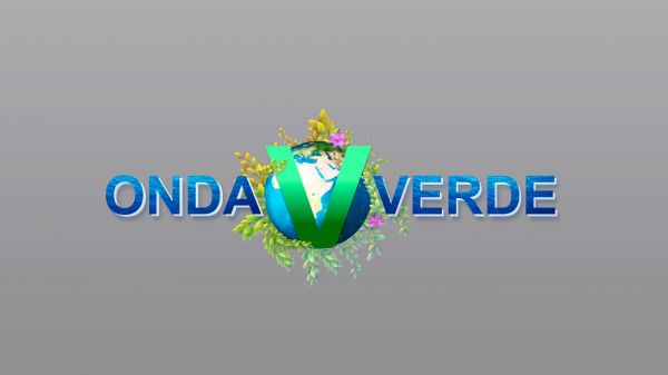 Onda Verde | T: 2023 | 21.01