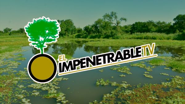 El Impenetrable TV | 2025 | 006